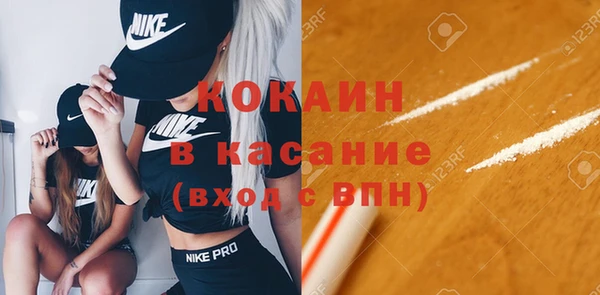 индика Богданович