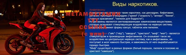 индика Богданович