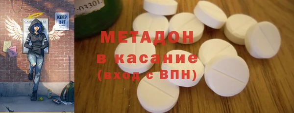 индика Богданович