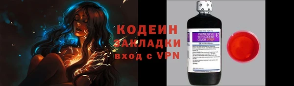 индика Богданович