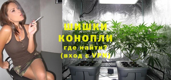 индика Богданович