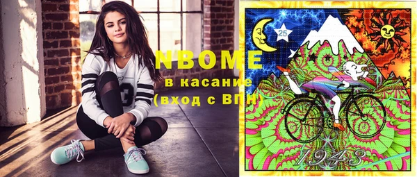 индика Богданович