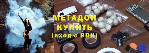 индика Богданович