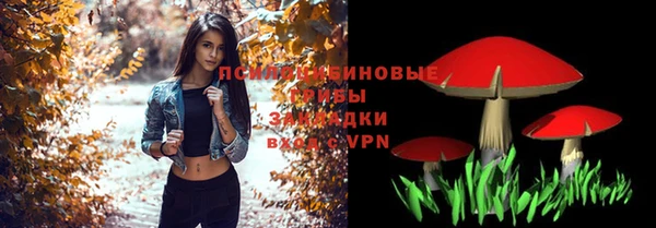 mdma Богородицк