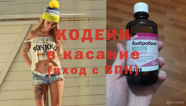 индика Богданович