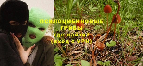 индика Богданович