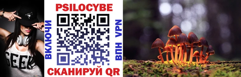 площадка какой сайт Невель Псилоцибиновые грибы Cubensis