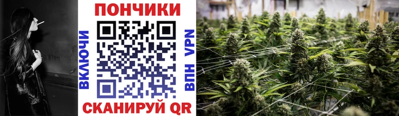 Конопля Bruce Banner  кракен маркетплейс  Невель 